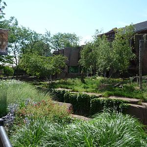 Tiger Exhibit - Lincoln Park Zoo