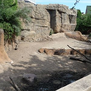 Warthog Exhibit - Lincoln Park Zoo