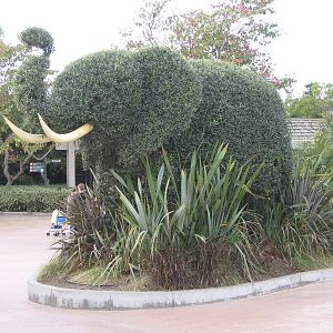 San Diego Zoo entrance - Jan 2005