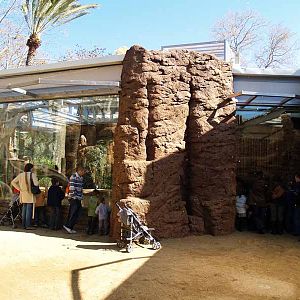 Terra de Dragons - Zoo Barcelona