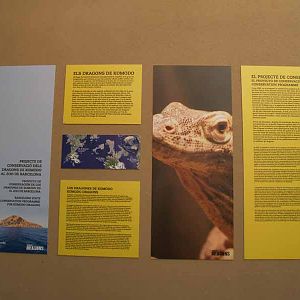 Terra de Dragons - Zoo Barcelona