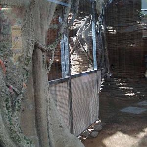 Terra de Dragons - Zoo Barcelona