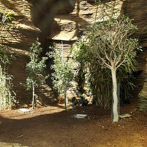 Terra de Dragons - Zoo Barcelona