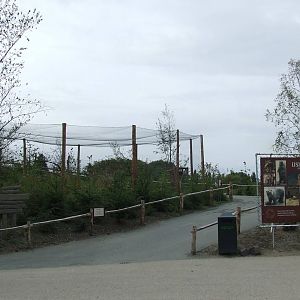 Entrance, Arctica