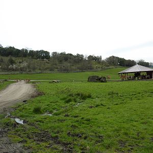 African Area - Feeding Shelter
