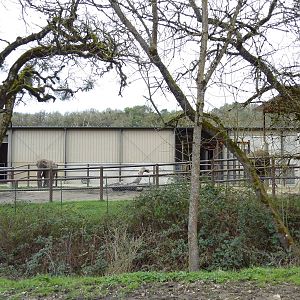 African Area - Elephant Enclosure