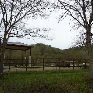 African Area - Elephant Enclosure