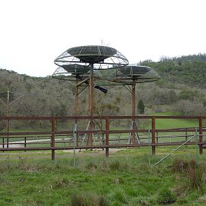 African Area - Elephant Utilitrees