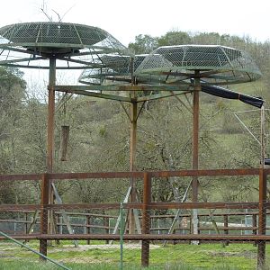 African Area - Elephant Utilitrees