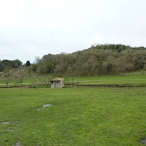 Asian Area - White-Cheeked Gibbon Exhibit
