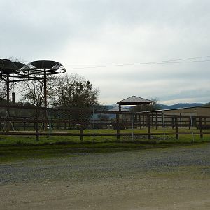 African Area - Elephant Enclosure