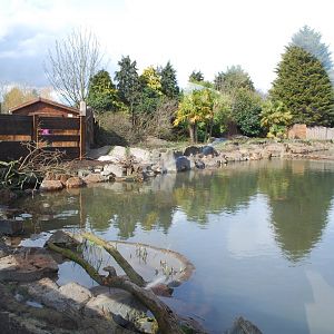 Giant Otter Enclosure