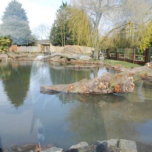Giant Otter Enclosure