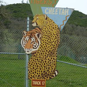Tiger + Cheetah Sign