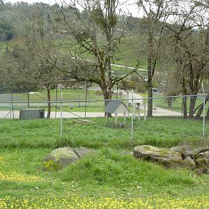 Cheetah Enclosure - 161 Cubs Have Been Born Here