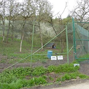 Cheetah Enclosures - 161 Cubs Have Been Born Here