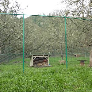 Cheetah Enclosures - 161 Cubs Have Been Born Here