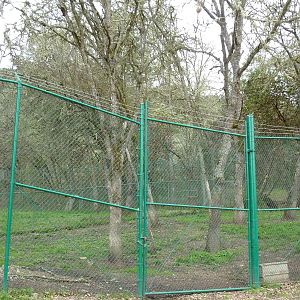 Cheetah Enclosures - 161 Cubs Have Been Born Here