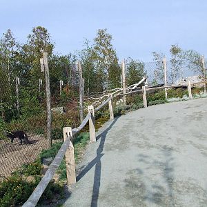 Arctic Fox enclosure, Arctica