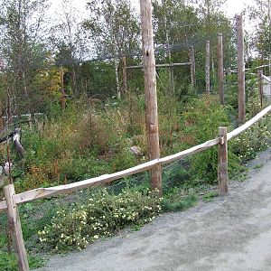 Snowy Owl aviary, Arctica