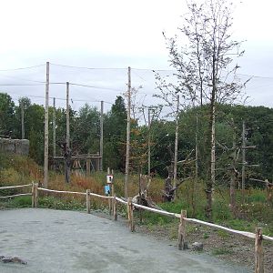 Steller's Sea Eagle aviary, Arctica