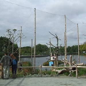Steller's Sea Eagle aviary, Arctica