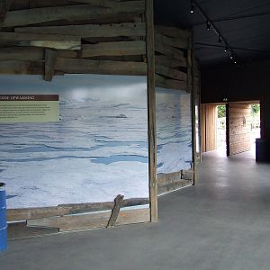 Arctica, interior