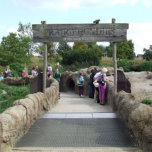 Walk-through Prairie Dog exhibit photos