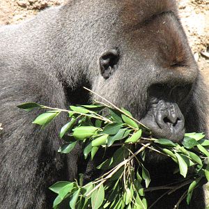 Kelly With A Mouth Full