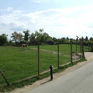 South American mixed exhibit