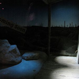 Pallid Bat Habitat - Desert Zone