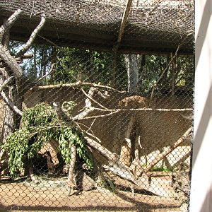 1 of 2 Fossa Enclosures