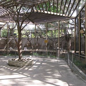 Colobus Monkey Roundhouse Exhibit