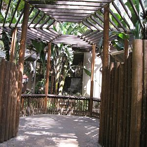 Mandrill Roundhouse Enclosure