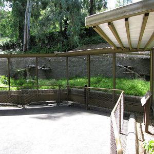 Serval Roundhouse Enclosure