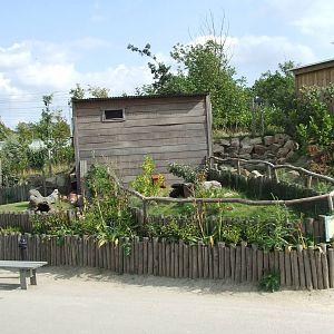 Guinea Pig enclosures