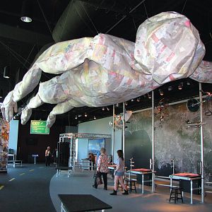 Trash Sculpture - L.A. Zone