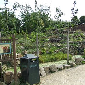 Southern Pudu enclosure