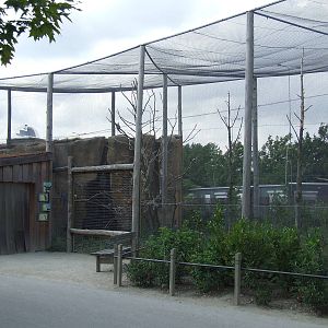 South American aviary