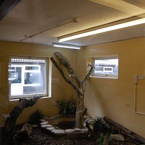 Replacement for Crocs