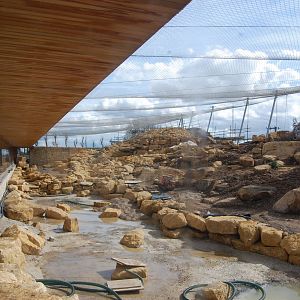 view of snowleopard exhibit