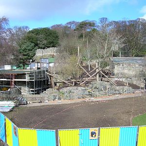 Progress on the Sun Bear enclosure