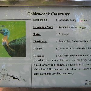 example of signage at the Bali Bird Park