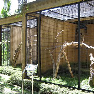 aviaries for larger macaws