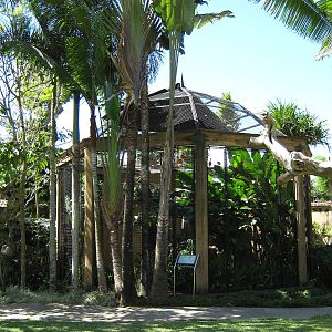 aviary for scarlet ibis and roseatte spoonbills