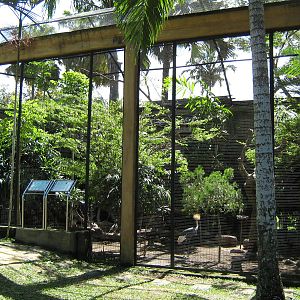 African aviary
