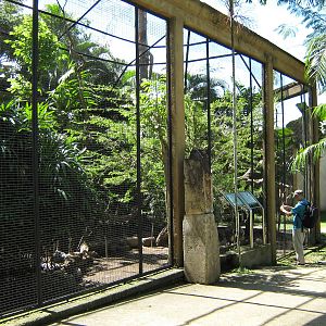 another view of the African Aviary