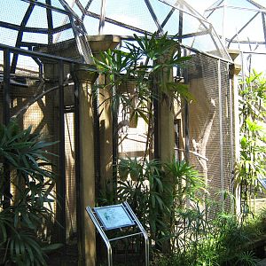 aviaries for small macaws