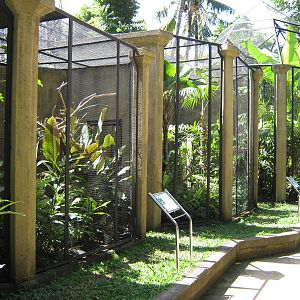 bird-of-paradise aviaries