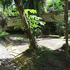 Komodo dragon enclosure